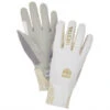 Hestra Women's W.S. Breeze 5 Finger - Gloves -Hestra hestra womens ws breeze 5 finger gloves
